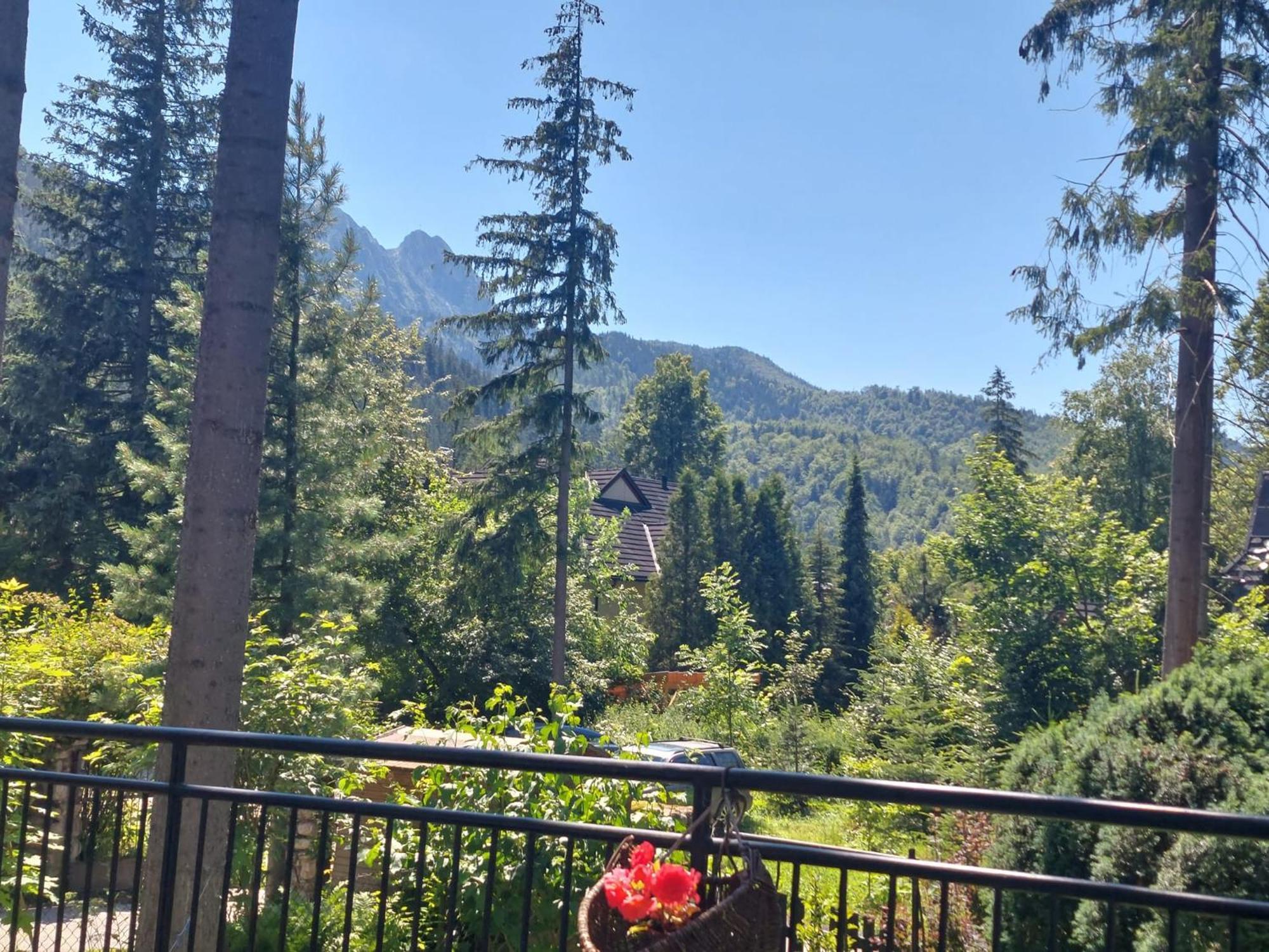 Dom Pod Skocznia Daire Zakopane Dış mekan fotoğraf